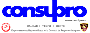 Consulpro Logo