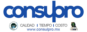 Consulpro Logo